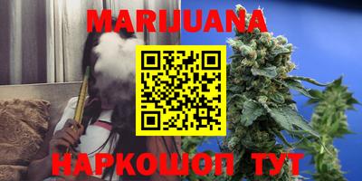 шишки Заволжье