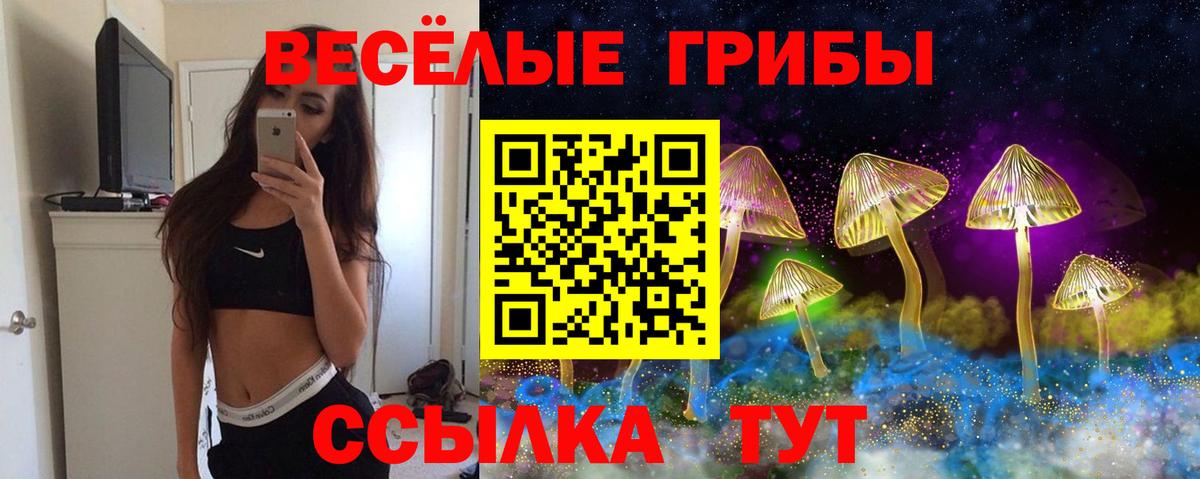 Галлюциногенные грибы Magic Shrooms Люберцы