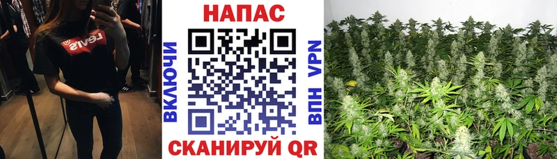 Каннабис марихуана Люберцы